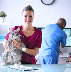 Pet Shops